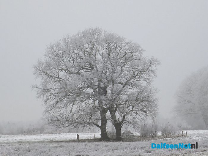 Winterse plaatjes rond Hoonhorst - Foto: Wim