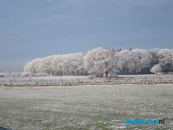 Niet omdat het moet, maar omdat het kan - Foto: Wim