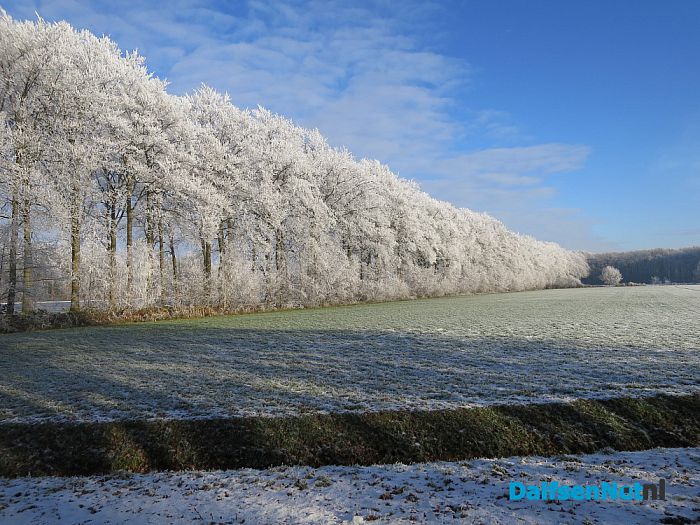 Niet omdat het moet, maar omdat het kan - Foto: Wim