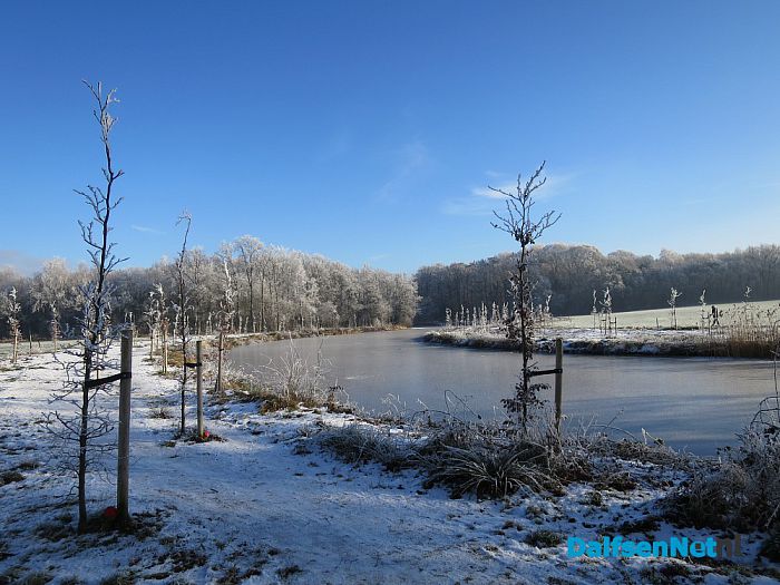 Niet omdat het moet, maar omdat het kan - Foto: Wim