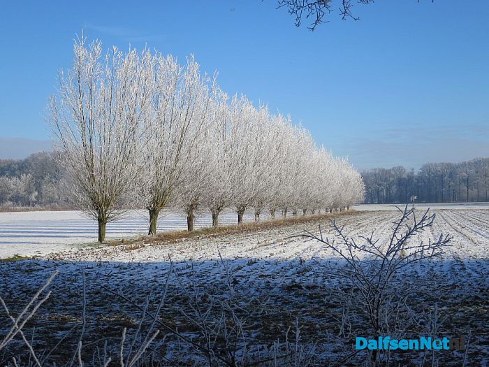 Niet omdat het moet, maar omdat het kan - Foto: Wim