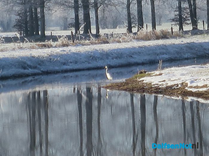 Niet omdat het moet, maar omdat het kan - Foto: Wim