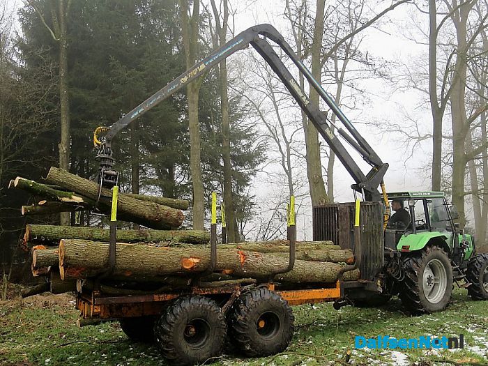 Bosonderhoud op Den Aalshorst - Foto: Wim