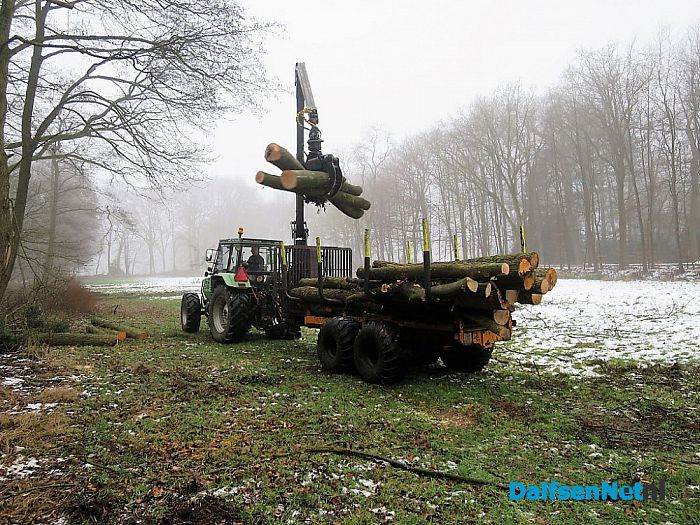 Bosonderhoud op Den Aalshorst - Foto: Wim