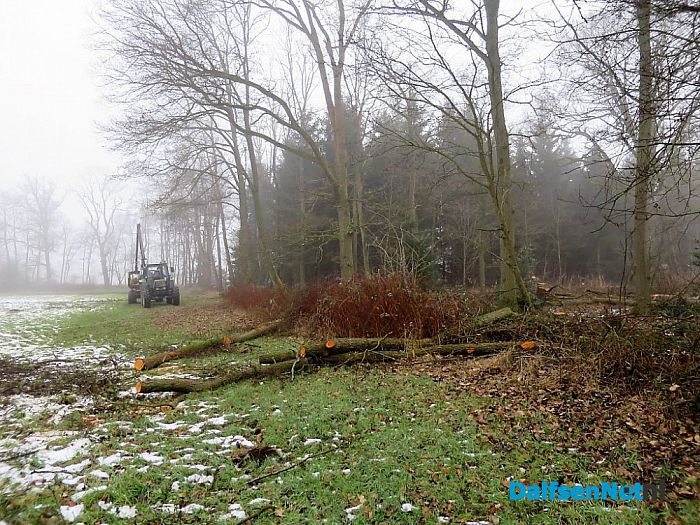 Bosonderhoud op Den Aalshorst - Foto: Wim