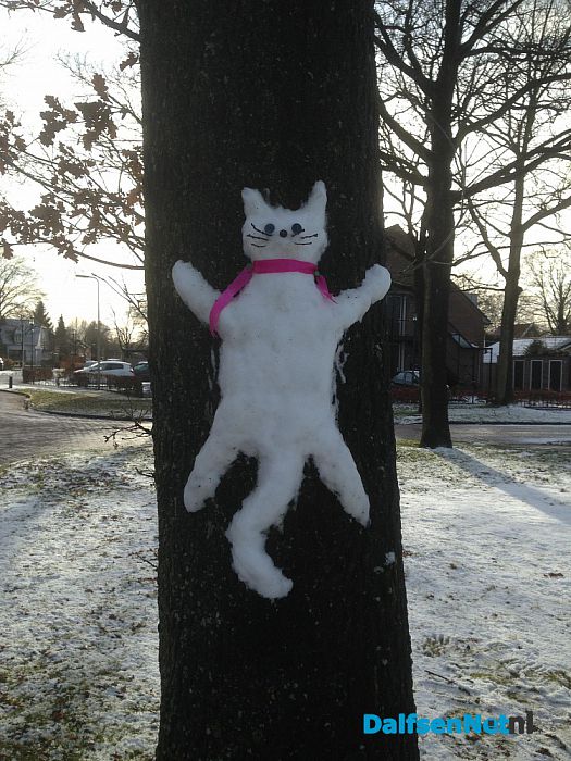 Sneeuwkat - Foto: Ingezonden foto
