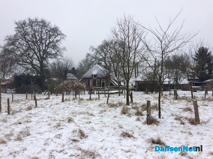 Beelden schaatsen in Emmen