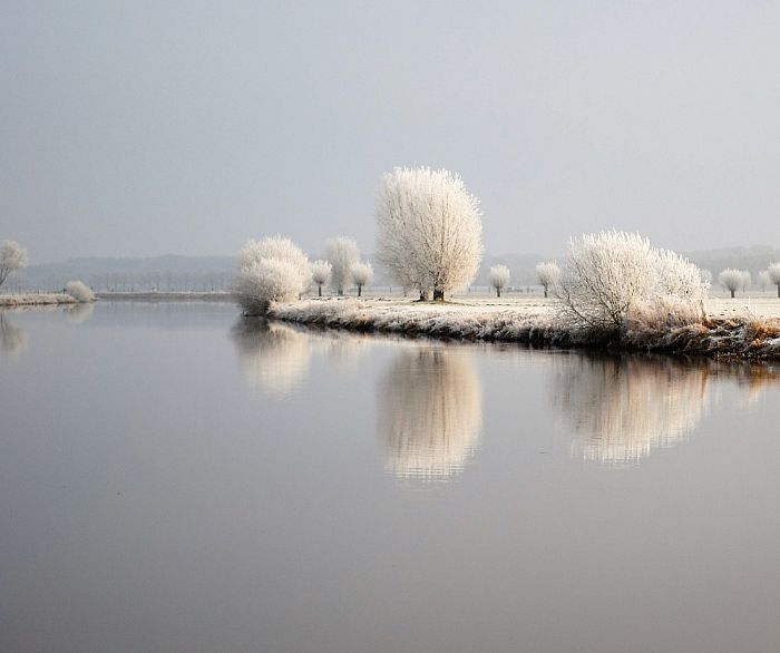 Nog meer prachtige natuurfoto’s - Foto: Eigen geleverde foto