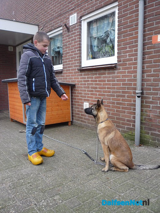 Herders hond gezocht - Foto: Ingezonden foto