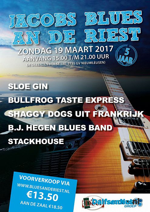 Bluesfestival in Nieuwleusen - Foto: Ingezonden foto