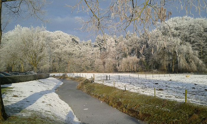 Winterwandeling op Zandhove - Foto: Eigen geleverde foto