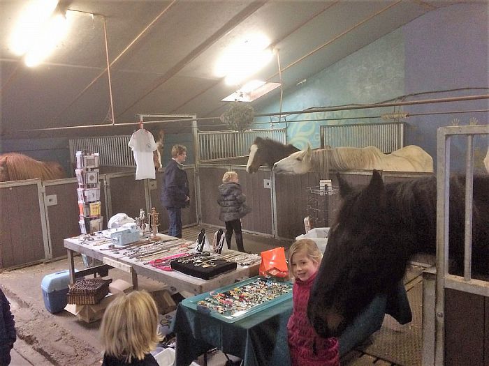 Rommelmarkt en paarden knuffelen - Foto: Eigen geleverde foto