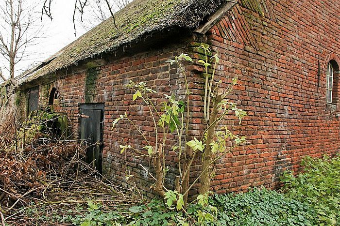Het verhaal achter boerderij “Het Witte Hart” - Foto: Paul Scholten