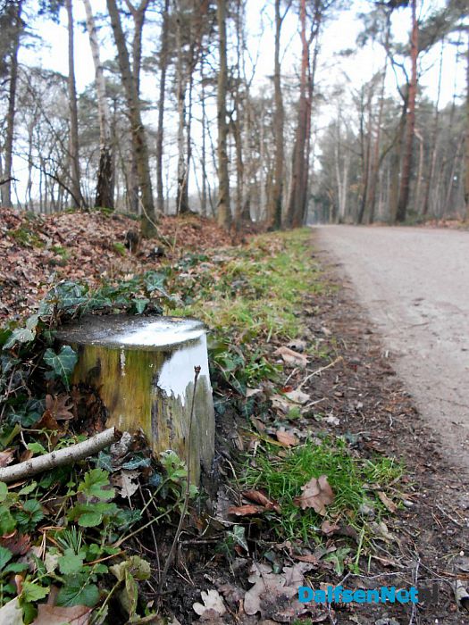 Wegfrezen hinderlijke stronken