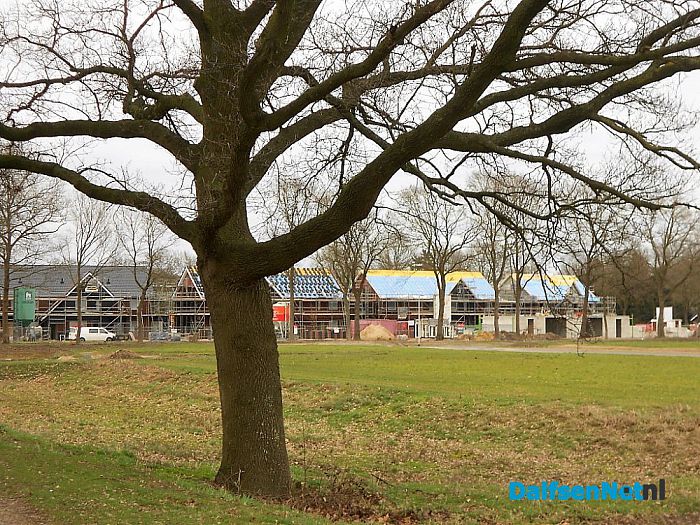 Bouw Oosterdalfsen