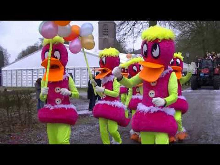 Carnaval optocht Vilsteren op video.