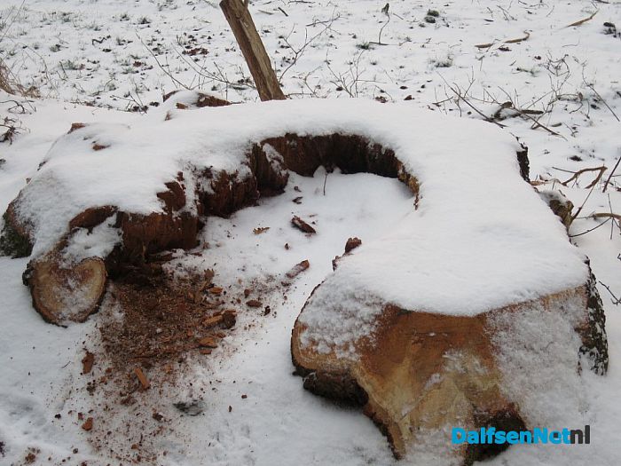 Laatste winterse plaatjes rond Hoonhorst - Foto: Wim