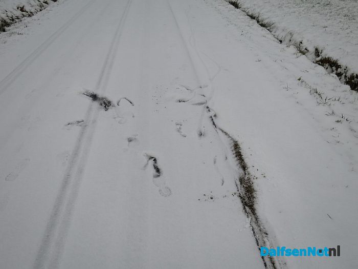 Laatste winterse plaatjes rond Hoonhorst - Foto: Wim