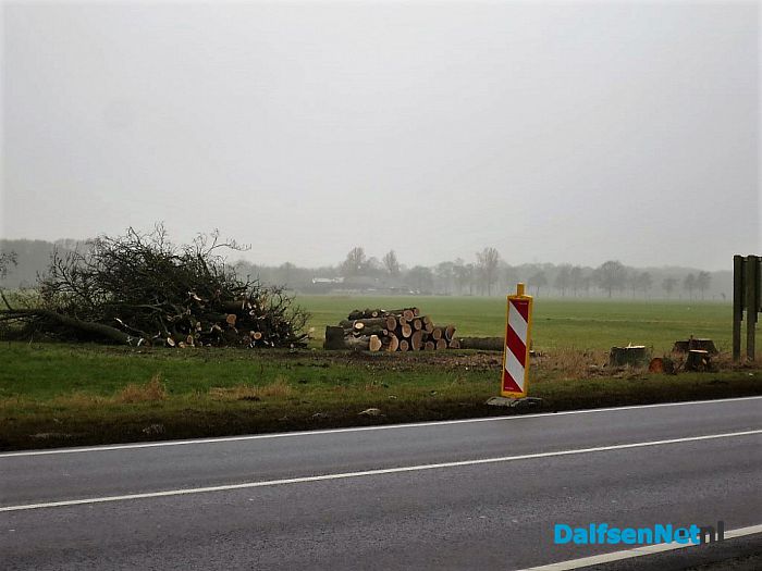 Aanleg RW 35 is nu begonnen met bomenkap - Foto: Wim