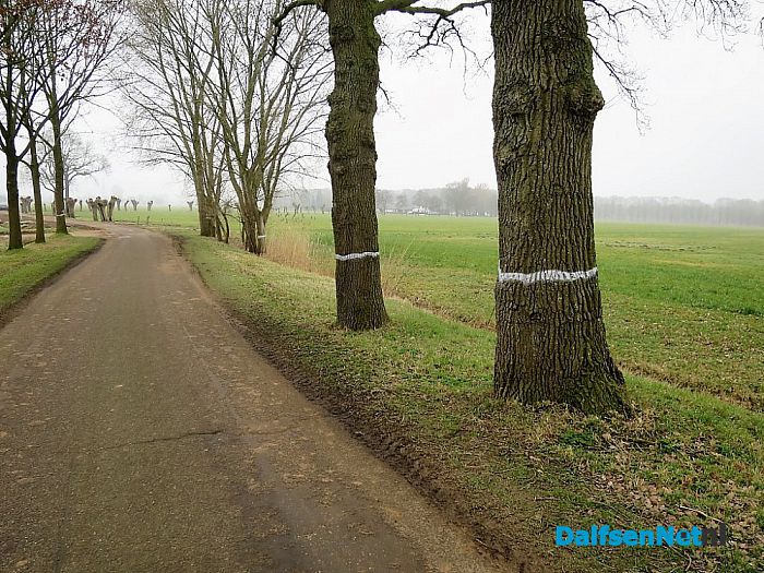 Aanleg RW 35 is nu begonnen met bomenkap - Foto: Wim