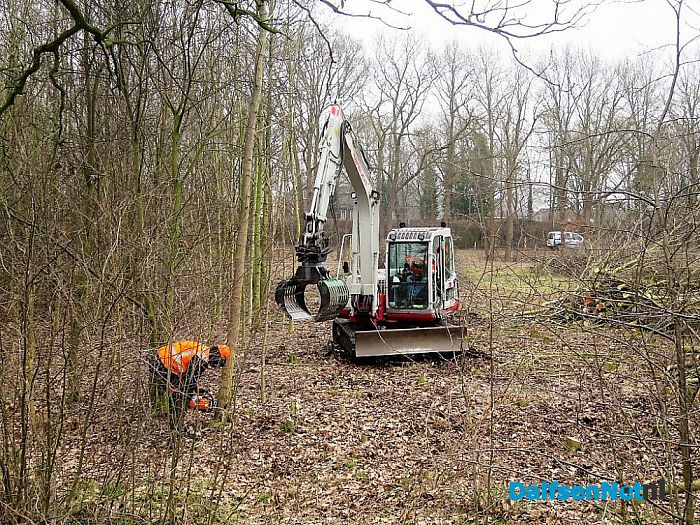 Aanleg RW 35 is nu begonnen met bomenkap - Foto: Wim