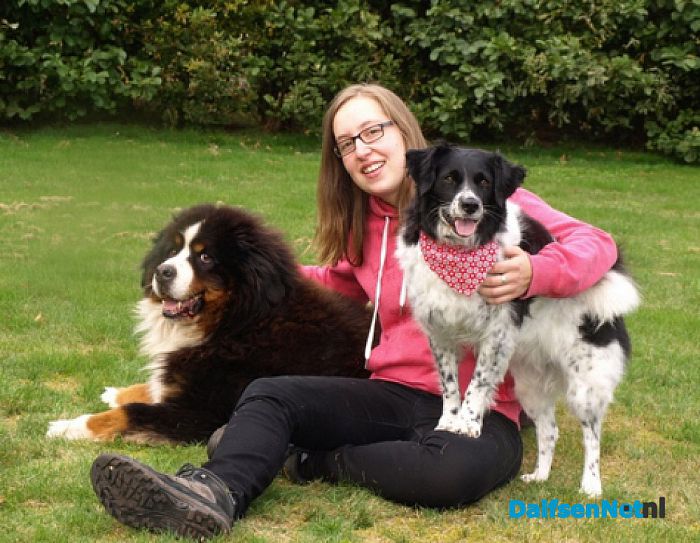 Bij Rianne’s Hondentrimsalon is elke hond welkom