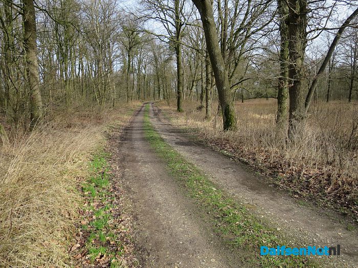 Wordt rondje pontje nu werkelijkheid? - Foto: Wim