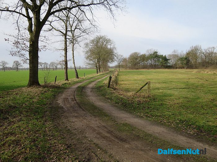 Wordt rondje pontje nu werkelijkheid? - Foto: Wim