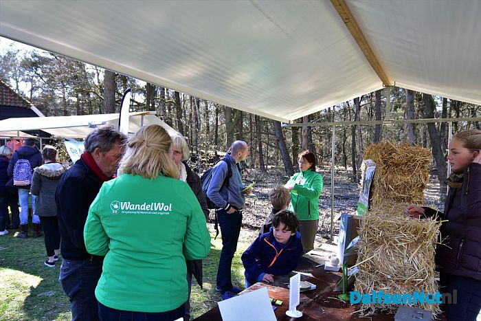 Gezellig druk bij de Lammetjesdag Schaapskooi Lemelerberg - Foto: Johan Bokma