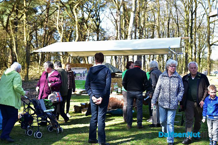 Gezellig druk bij de Lammetjesdag Schaapskooi Lemelerberg - Foto: Johan Bokma