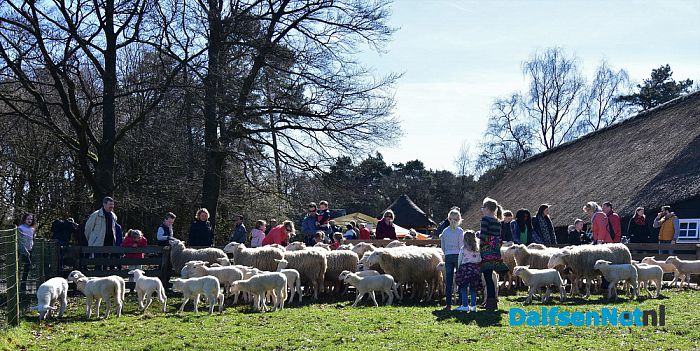 Gezellig druk bij de Lammetjesdag Schaapskooi Lemelerberg - Foto: Johan Bokma