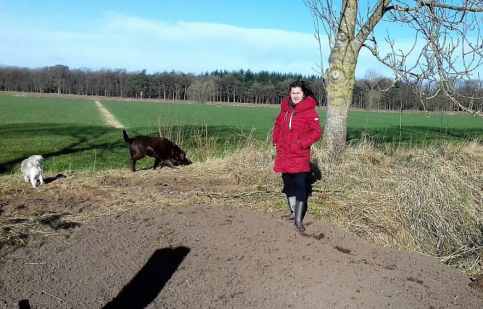 1e wandelaars op nieuw pad gesignaleerd - Foto: Eigen geleverde foto