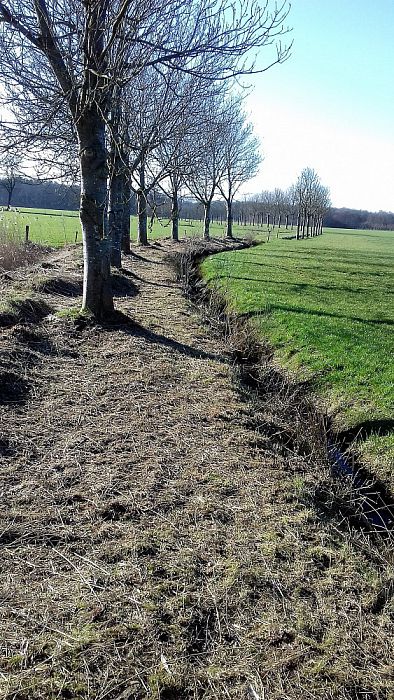 1e wandelaars op nieuw pad gesignaleerd - Foto: Eigen geleverde foto