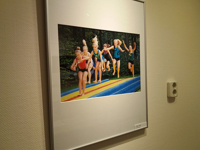 Nieuwe expositie in het Kulturhus Lemelerveld - Foto: Eigen geleverde foto