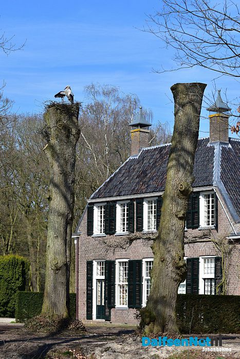 Op en top lente in de tuin bij De Leemcule Dalfsen
