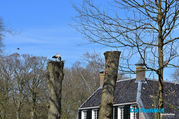 Op en top lente in de tuin bij De Leemcule Dalfsen