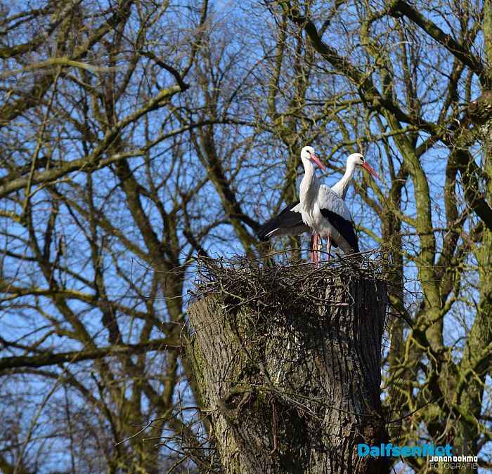 Op en top lente in de tuin bij De Leemcule Dalfsen