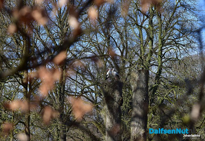 Op en top lente in de tuin bij De Leemcule Dalfsen
