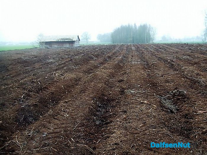 Een eenzame zwerver langs struinpaden? - Foto: Wim