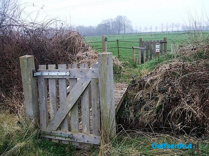 Een eenzame zwerver langs struinpaden? - Foto: Wim