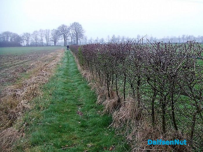 Een eenzame zwerver langs struinpaden? - Foto: Wim