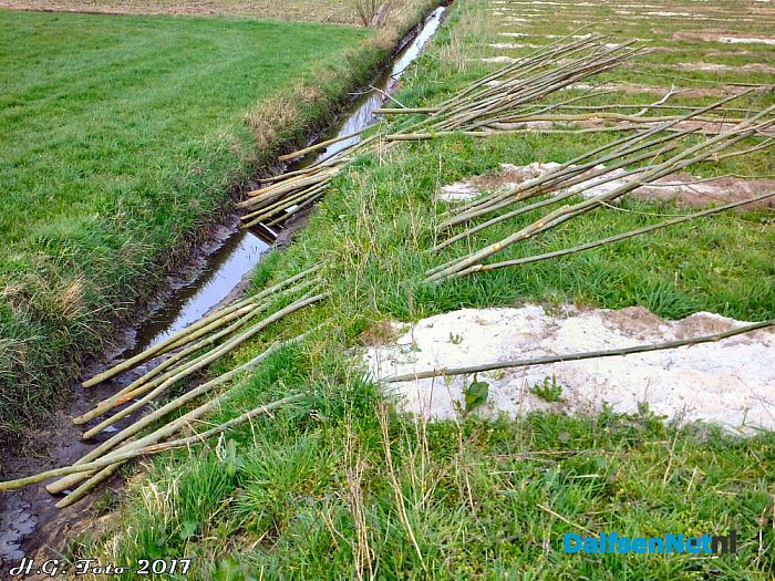 Bomen planten rond het evenemententerrein. - Foto: H.G. Foto