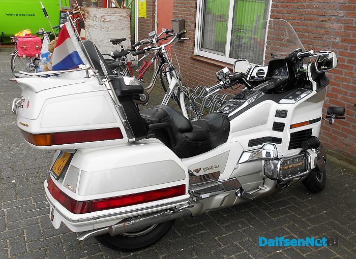 Gold Wing