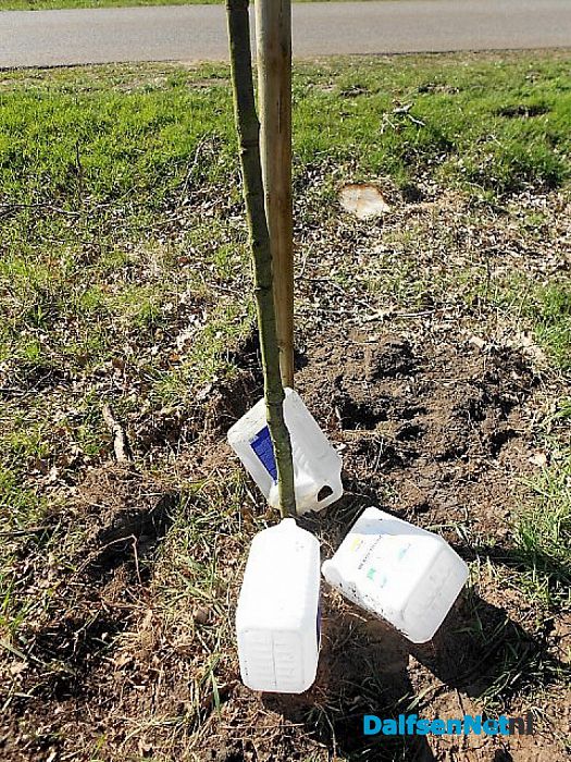 Aangeplante boompjes water geven