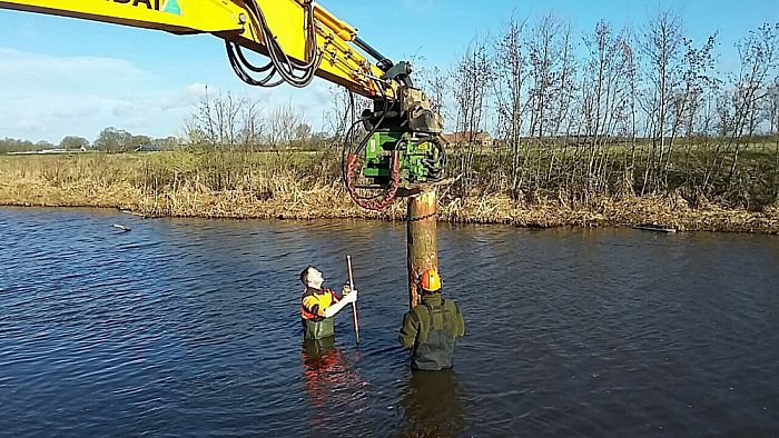 Bomen in de Vecht verbeteren kwaliteit - Foto: Eigen geleverde foto