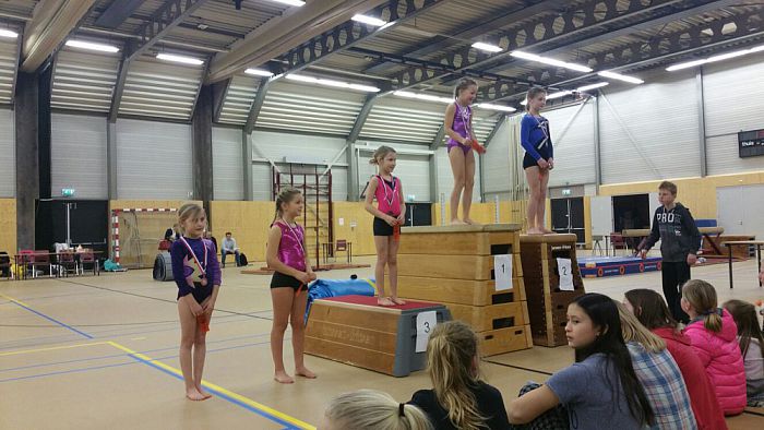 Turnwedstrijden voor recreanten - Foto: Eigen geleverde foto