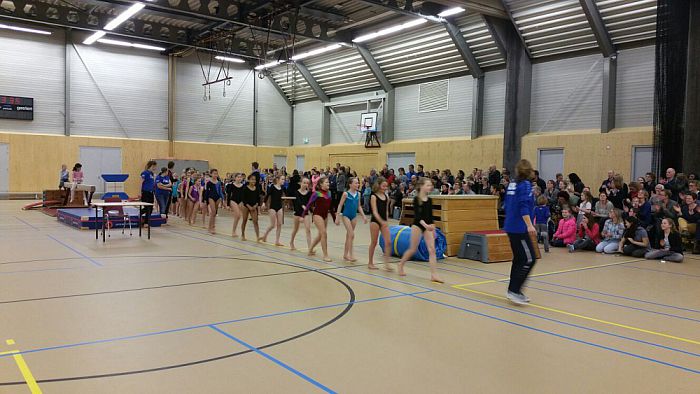 Turnwedstrijden voor recreanten - Foto: Eigen geleverde foto