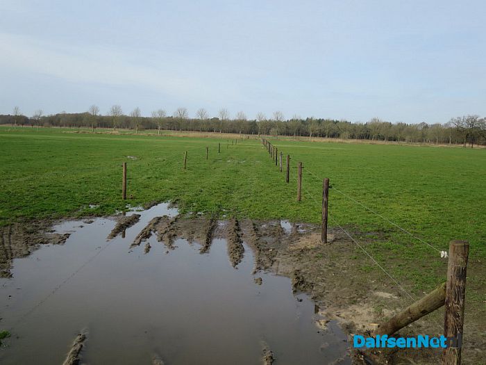 Wordt rondje pontje nu werkelijkheid? - Foto: Wim