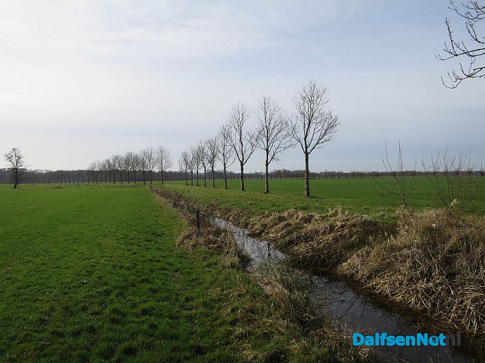 Wordt rondje pontje nu werkelijkheid? - Foto: Wim