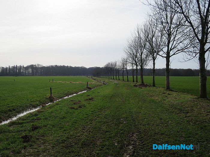 Wordt rondje pontje nu werkelijkheid? - Foto: Wim